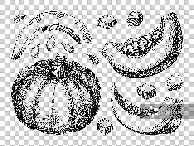 手绘南瓜素描秋季蔬菜套装图片素材