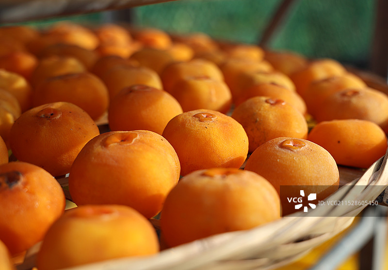 正在晾晒的金黄柿子图片素材