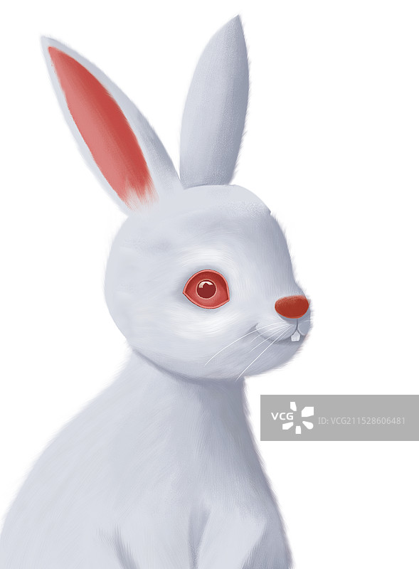 白色兔子手绘图片素材