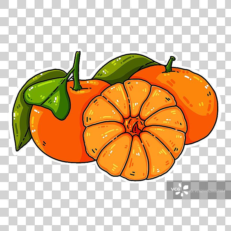 橘子插画手绘食物免扣png素材图片素材