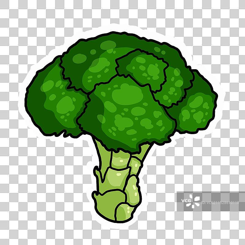 花菜西兰花插画手绘食物免扣png素材图片素材