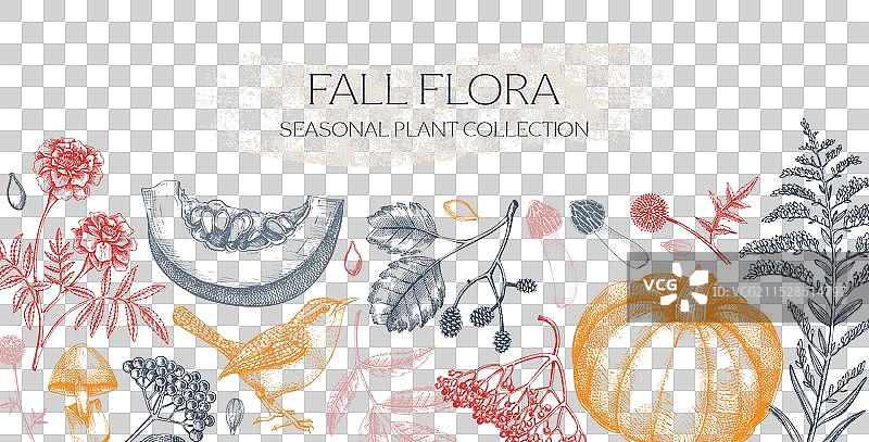 手绘秋季背景，落叶和南瓜图片素材