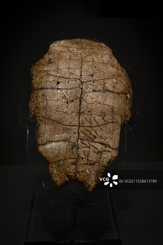 殷墟甲骨图片素材