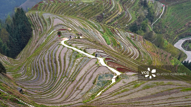 广西，龙脊梯田图片素材