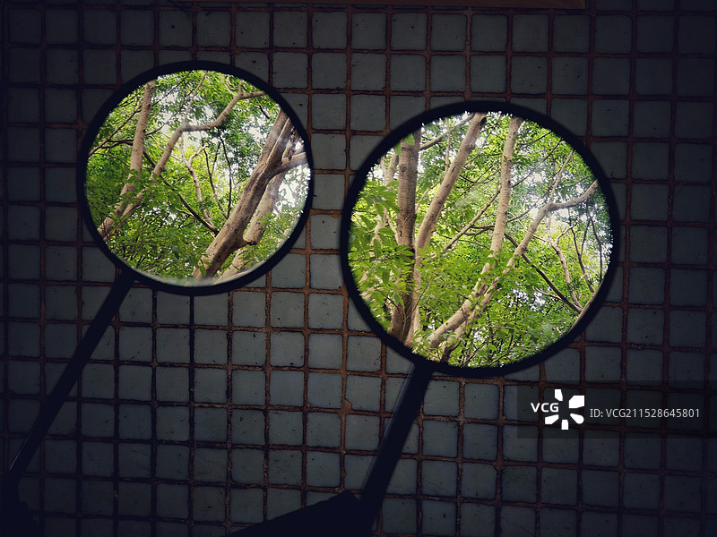 透过后视镜看到的树图片素材