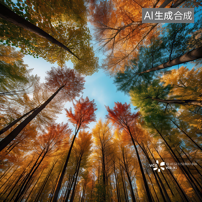 【AI数字艺术】秋天五彩斑斓的森林色彩插画背景图图片素材