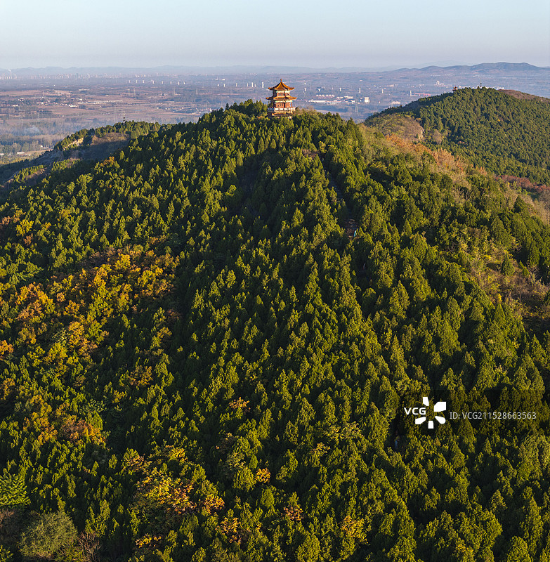 莒县浮来山四千年银杏迎来一场视觉盛宴图片素材