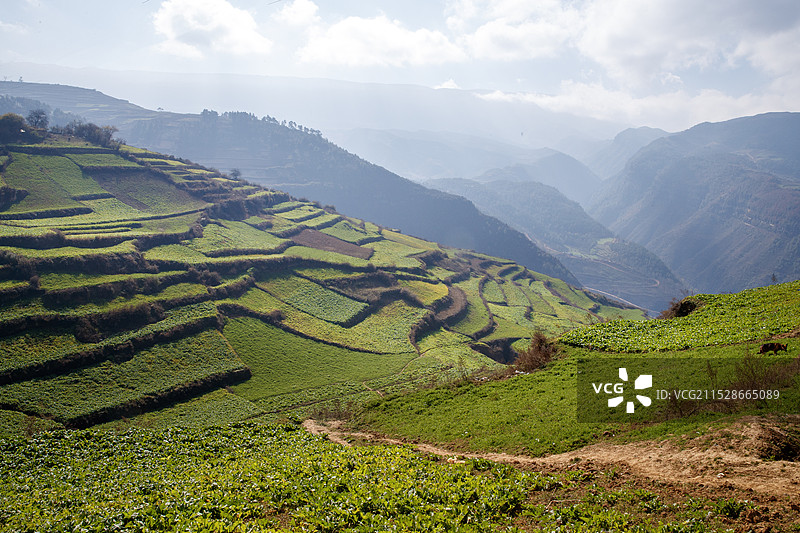 大凉山美姑县马红村、采噶村风貌图片素材