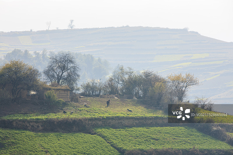 大凉山美姑县马红村、采噶村风貌图片素材
