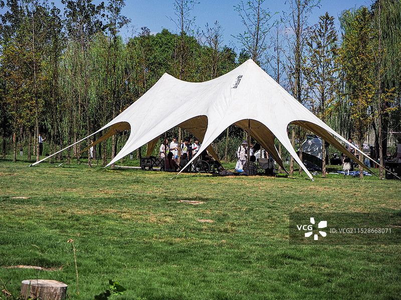 田野上的树木顶着天空图片素材
