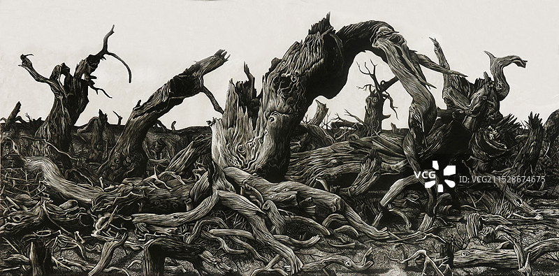 《不朽的生命》黑白木刻图片素材