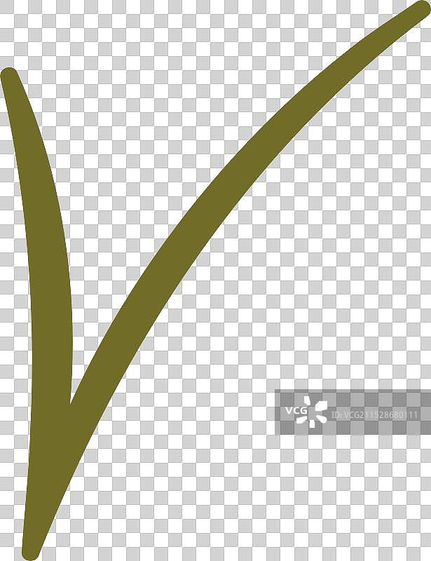 针叶树枝轮廓图片素材