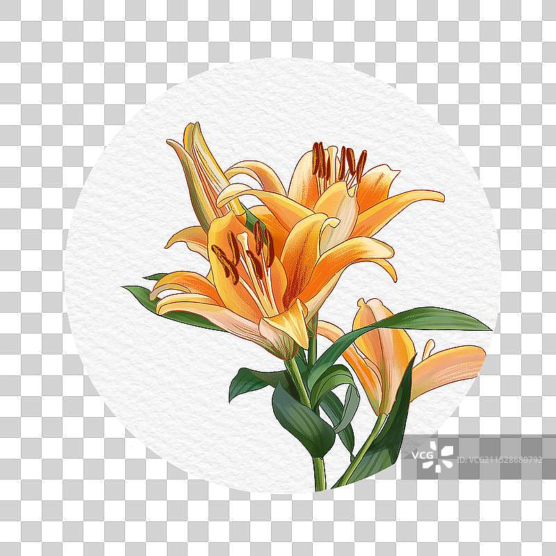 花合集图片素材