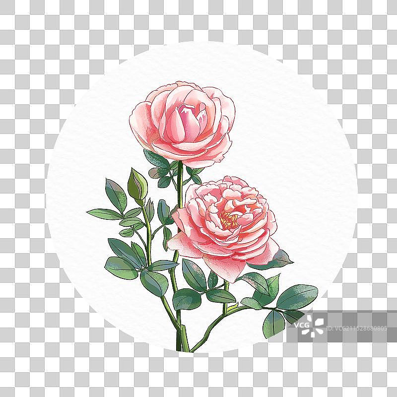 花合集图片素材