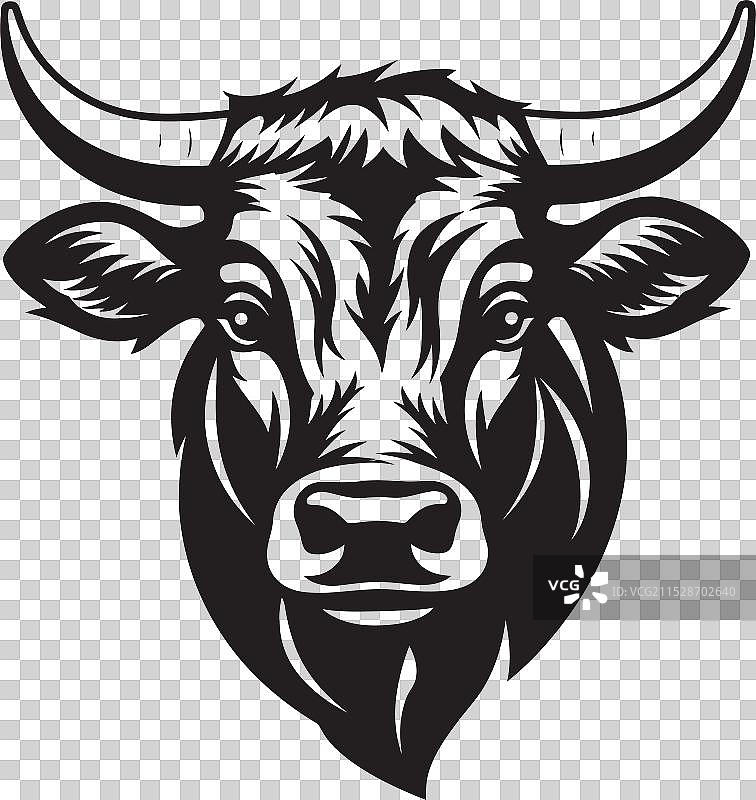 跨越国界的牛肉：探索全球美食图片素材