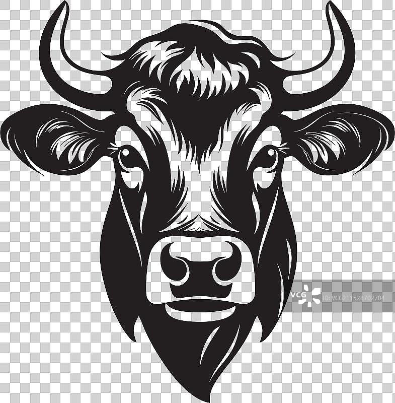 从经典舒适菜肴到现代美食的牛肉图片素材