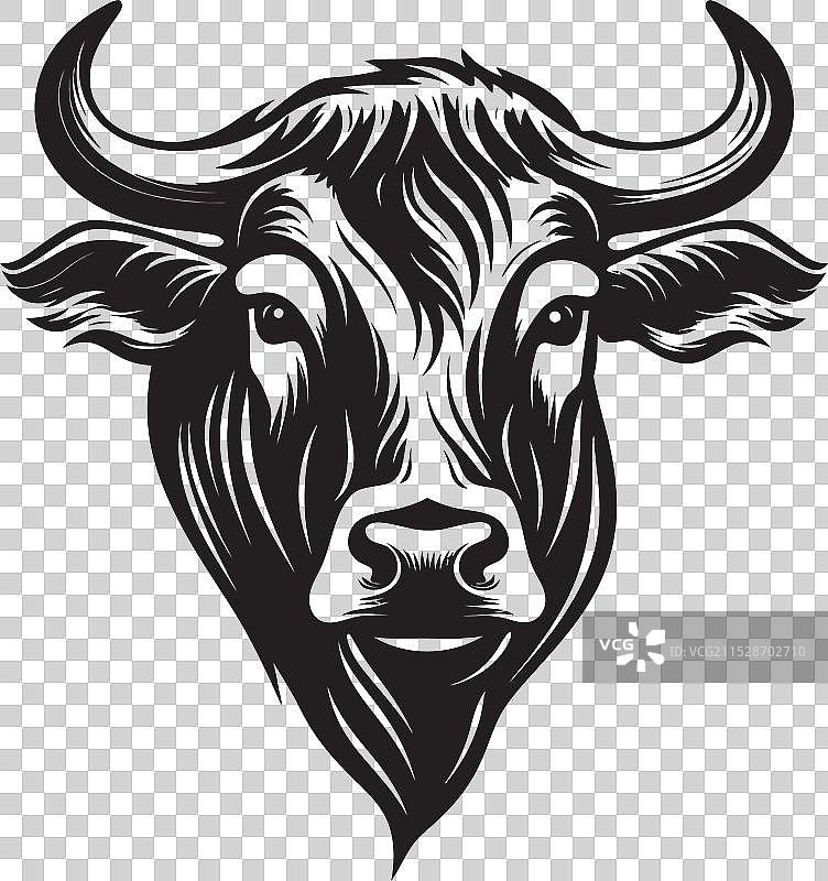 牛肉：烹饪的杰作图片素材