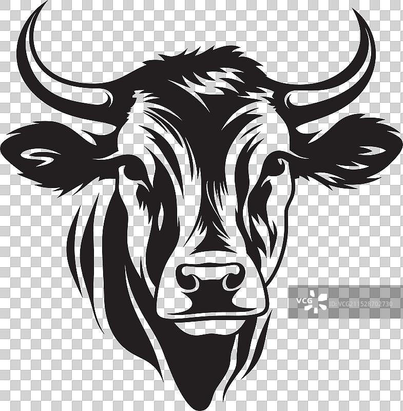 牛肉：创造力的烹饪画布图片素材