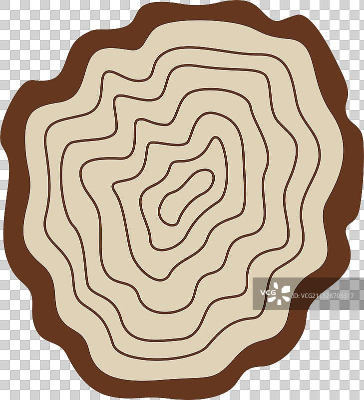 树木年轮切片图片素材