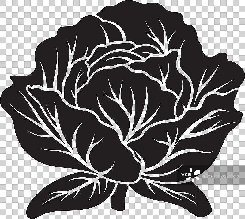 卷心菜复兴：经典卷心菜的现代更新图片素材