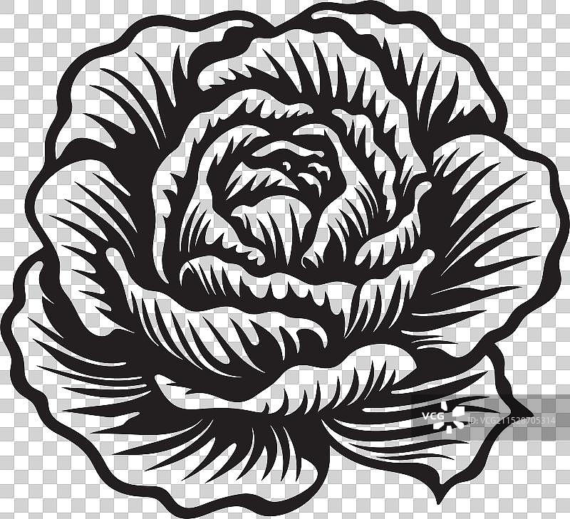 卷心菜文艺复兴：重新发现旧世界图片素材