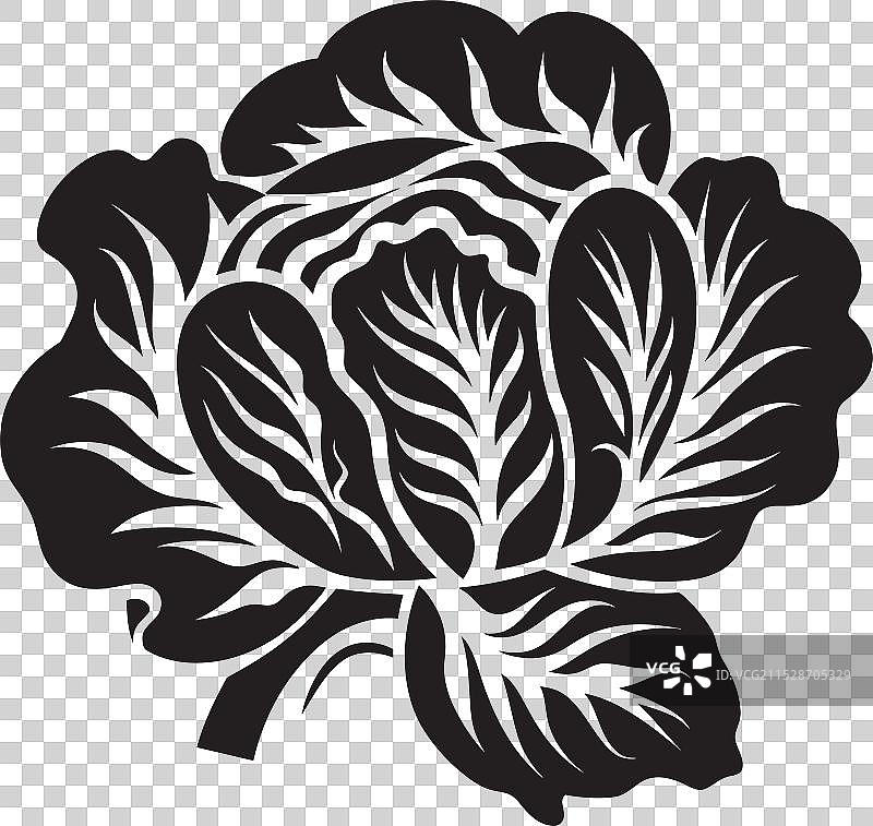 卷心菜的魔力将普通餐点变得非凡图片素材