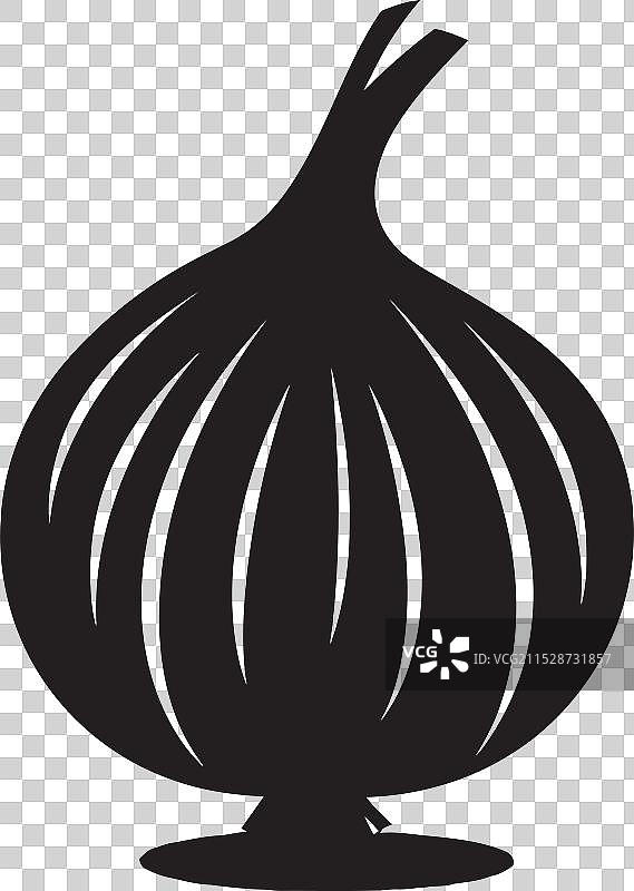 从农田到餐桌：洋葱的旅程图片素材