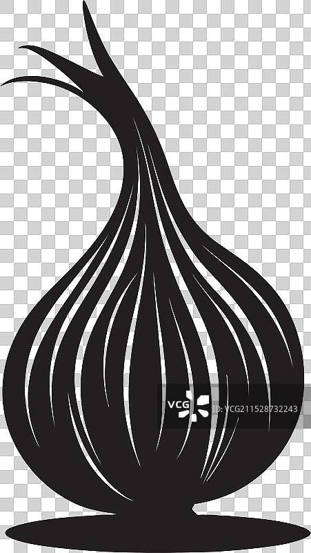 从洋葱田到银幕好莱坞图片素材