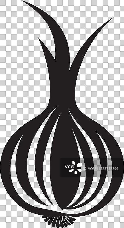 洋葱科学探索自然的奥秘图片素材