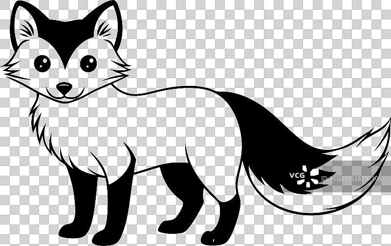 可爱的北极狐图片素材