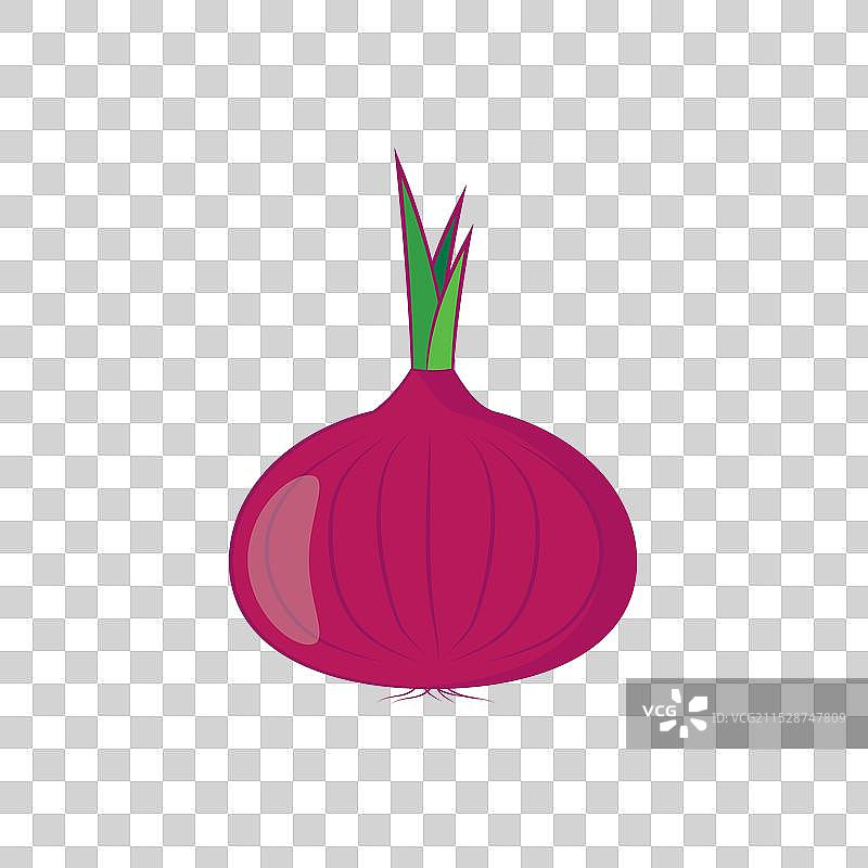扁平风格的洋葱图标，孤立物体图片素材