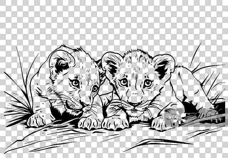 手绘的小狮子幼崽图片素材