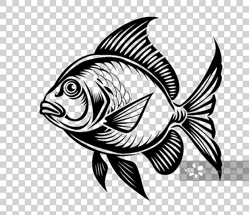 手绘黑白海鲜素描图片素材
