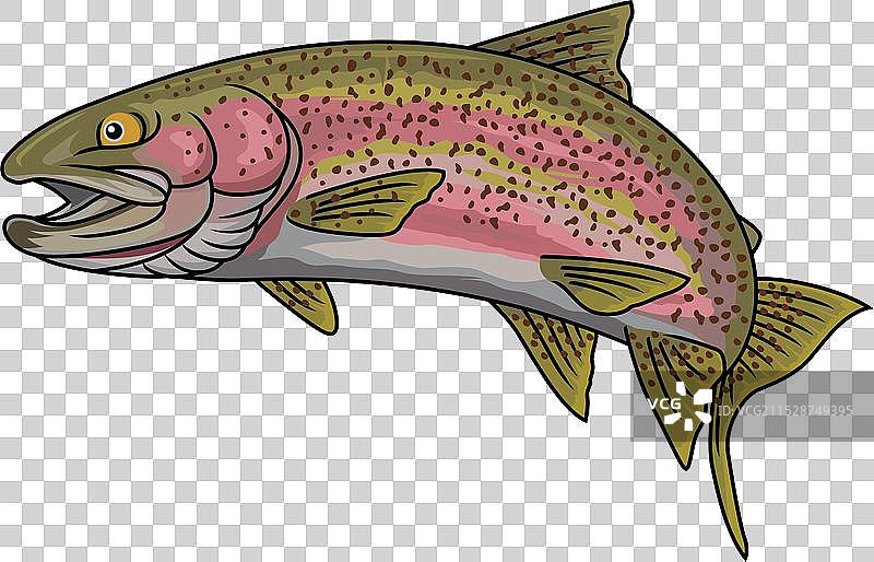 彩虹鳟鱼钓鱼标志图像图片素材