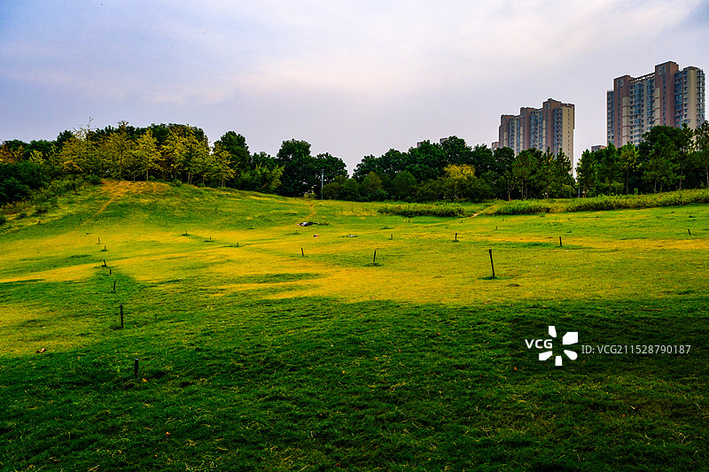 中国河南郑州市西流湖公园风光，河流，荷塘，城市与公园，西流湖，大草坪，前进的路，晴云阁图片素材