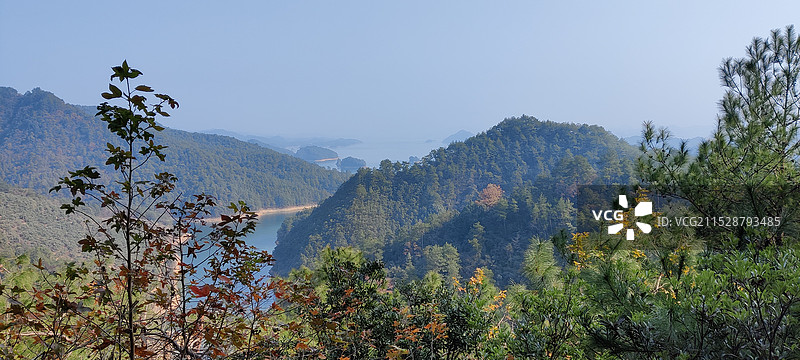 杭州千岛湖森林氧吧图片素材