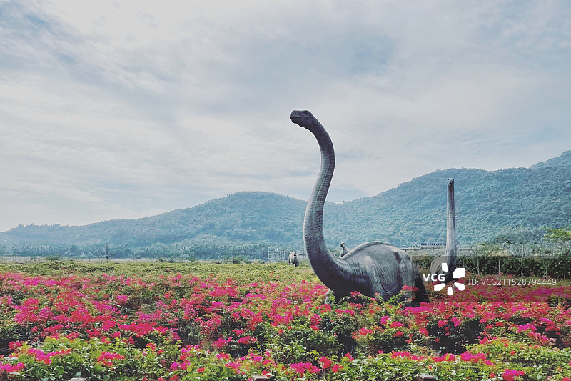 三亚水稻国家公园图片素材