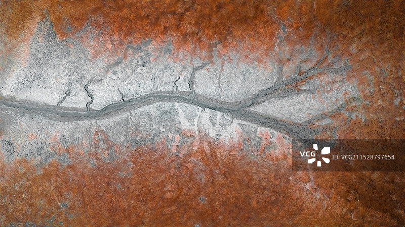 大地之树图片素材