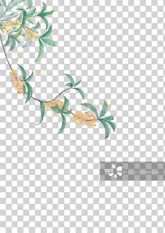 桂花免抠元素 水墨风插画图片素材