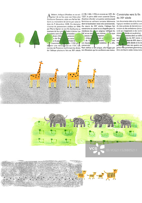 行进的动物图片素材