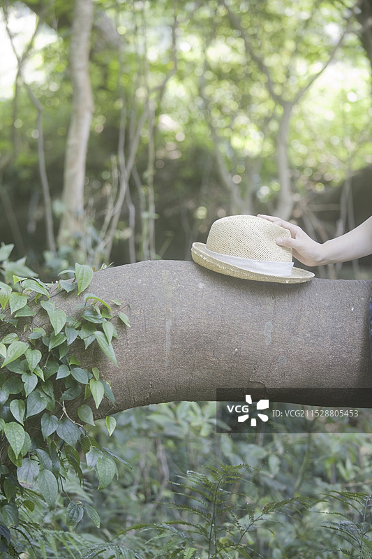 女人的手拿着一顶帽子图片素材