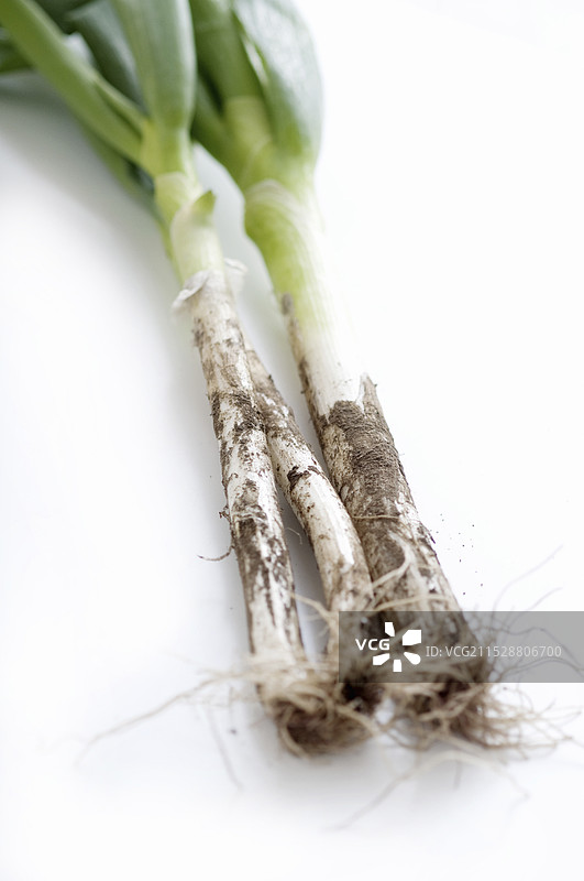 泥泞的韭菜图片素材