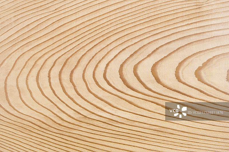 雪松木板图片素材