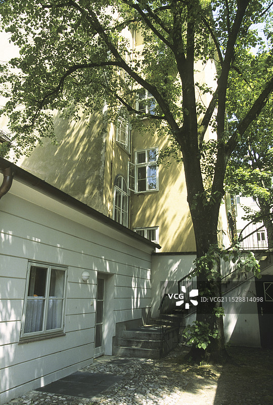 花园里的树木图片素材