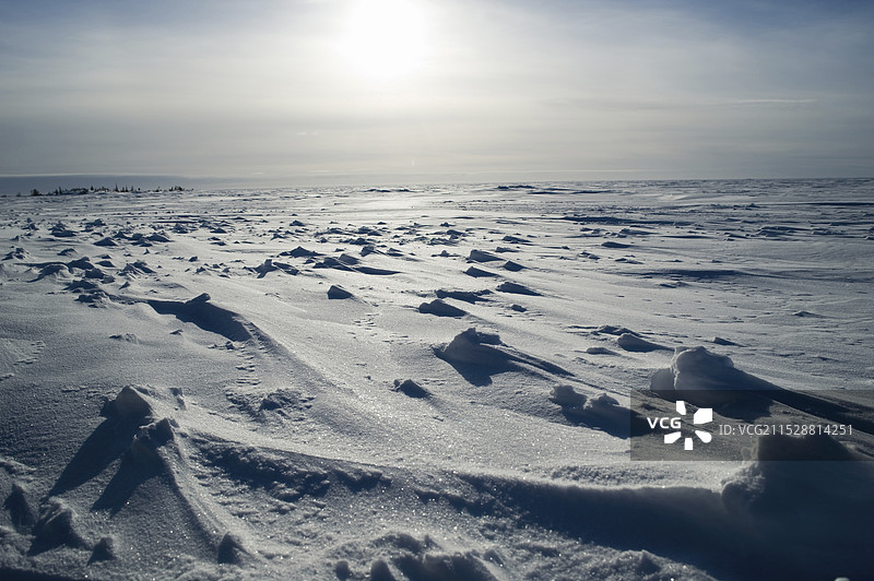 大奴湖的雪原图片素材