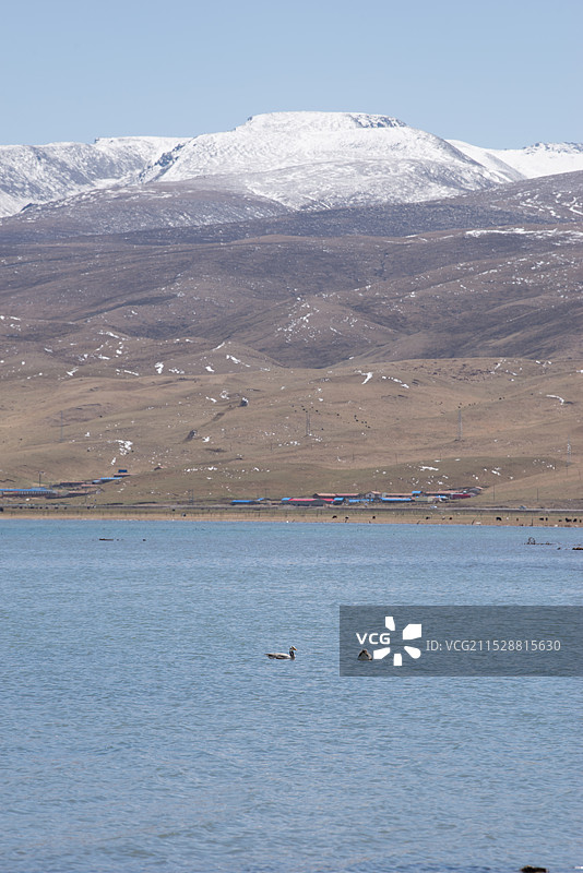 日月山雪景，青海湖畔，牧场图片素材