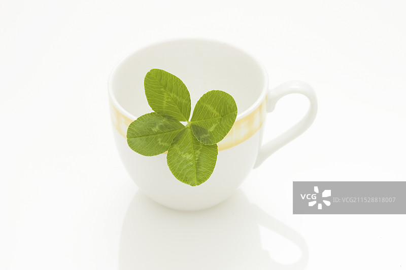 四叶草图片素材