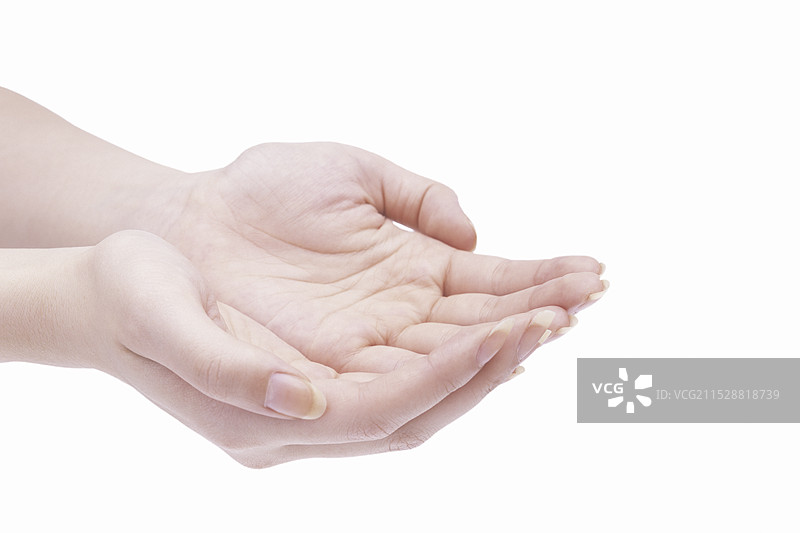 女人的手图片素材