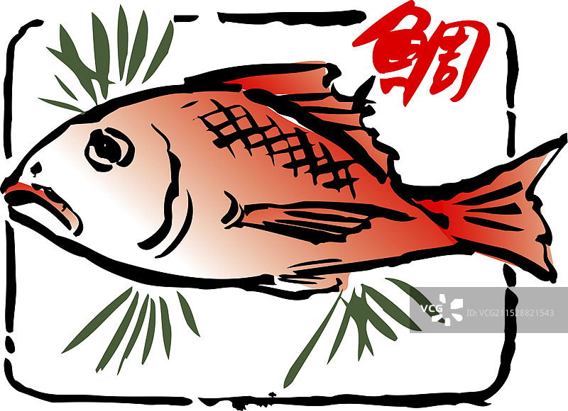 鲷鱼图片素材