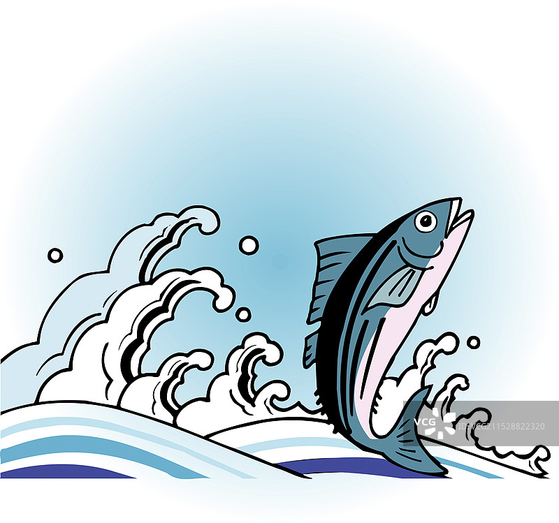 第一条鲣鱼图片素材